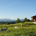 Aschbacher Hof 3* Фельдкирхен-Вестерхам